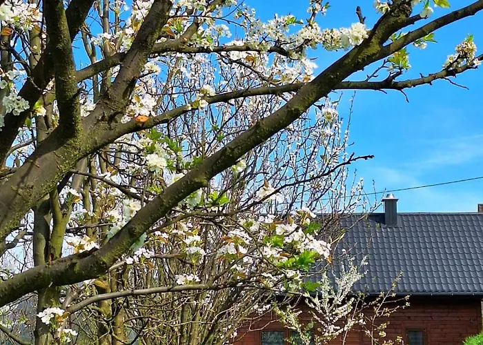 Chalet Leniuchowo Rabka